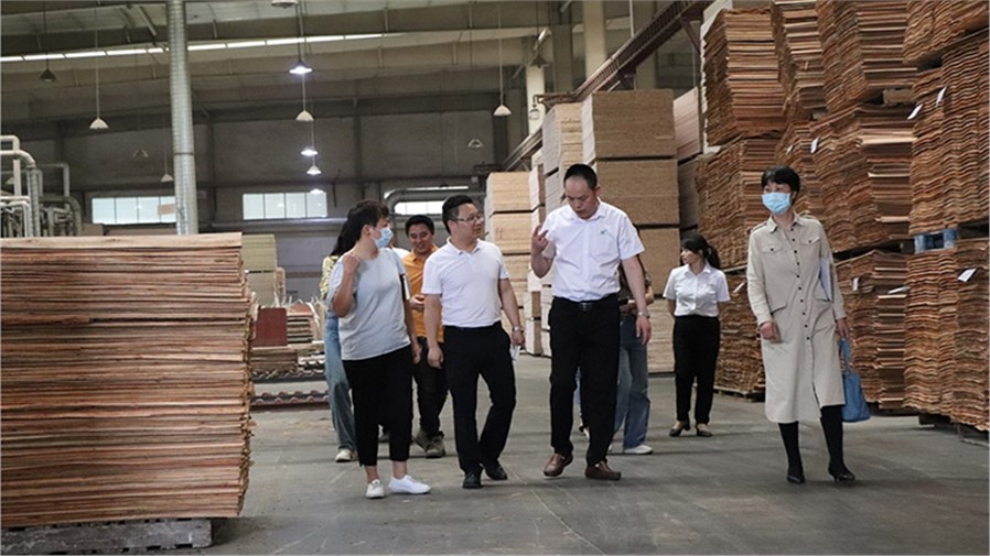 懷化市科技局等一行人，蒞臨喬偉家居生態(tài)板工廠評審湖南省創(chuàng)新創(chuàng)業(yè)大賽